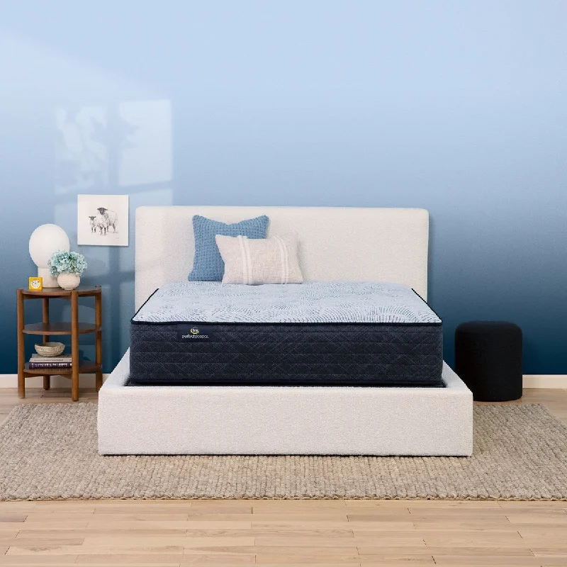 Polyester - foam mattresses for budget - friendly optionsSerta Perfect Sleeper Nurture Night 13.5" Plush Mattress