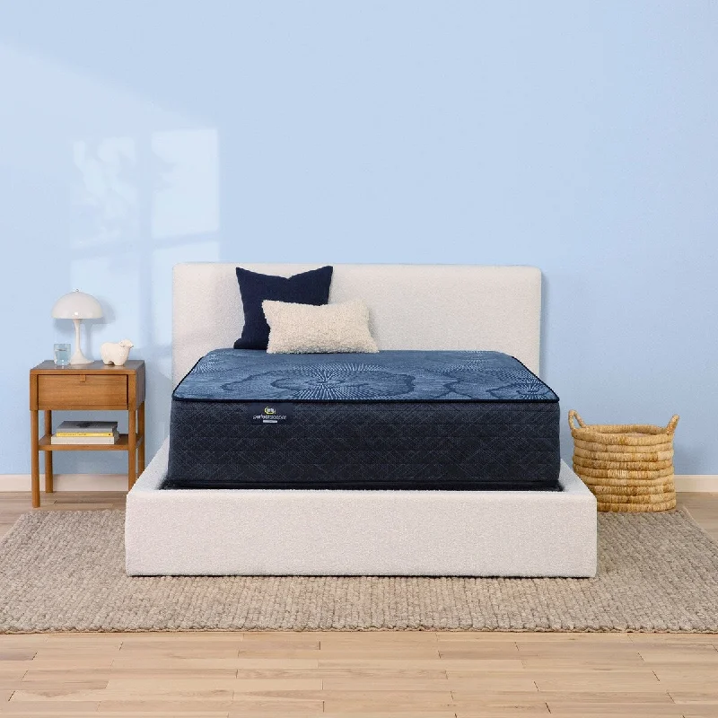 Polyester - foam mattresses for budget - friendly optionsSerta Perfect Sleeper Radiant Rest 14" Hybrid Firm Mattress Set