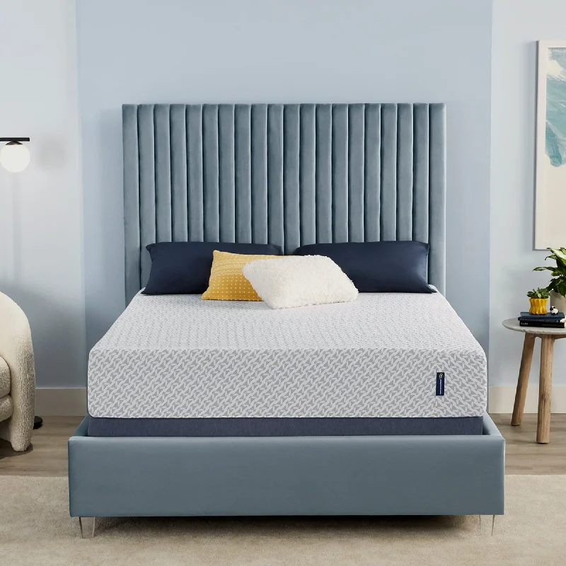 Innerspring mattresses with coil counts for supportSerta Sheep Retreat 10" Medium Memory Foam Mattress in a Box